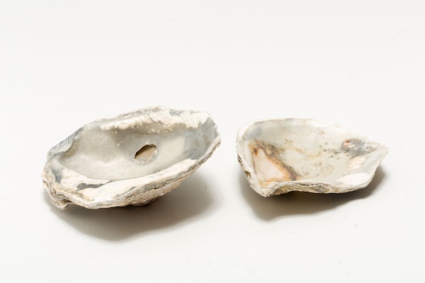 Oyster Shells, Thames foreshore