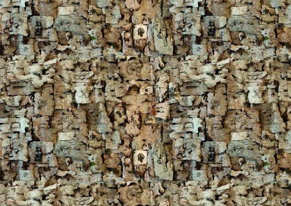 Silverbeach, installation view