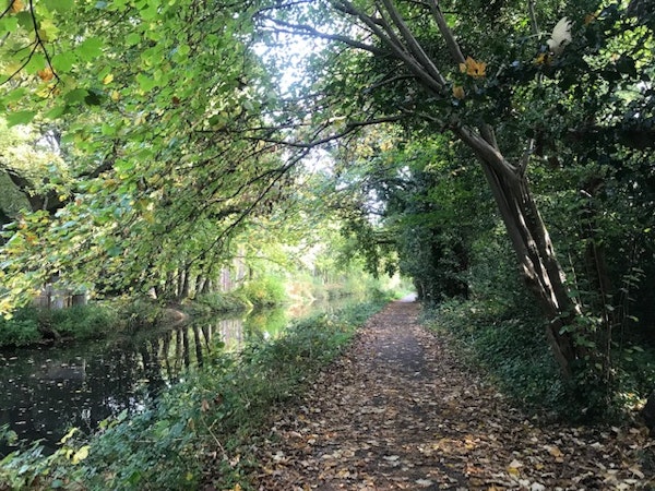 Tow Path, Basingstoke Canal